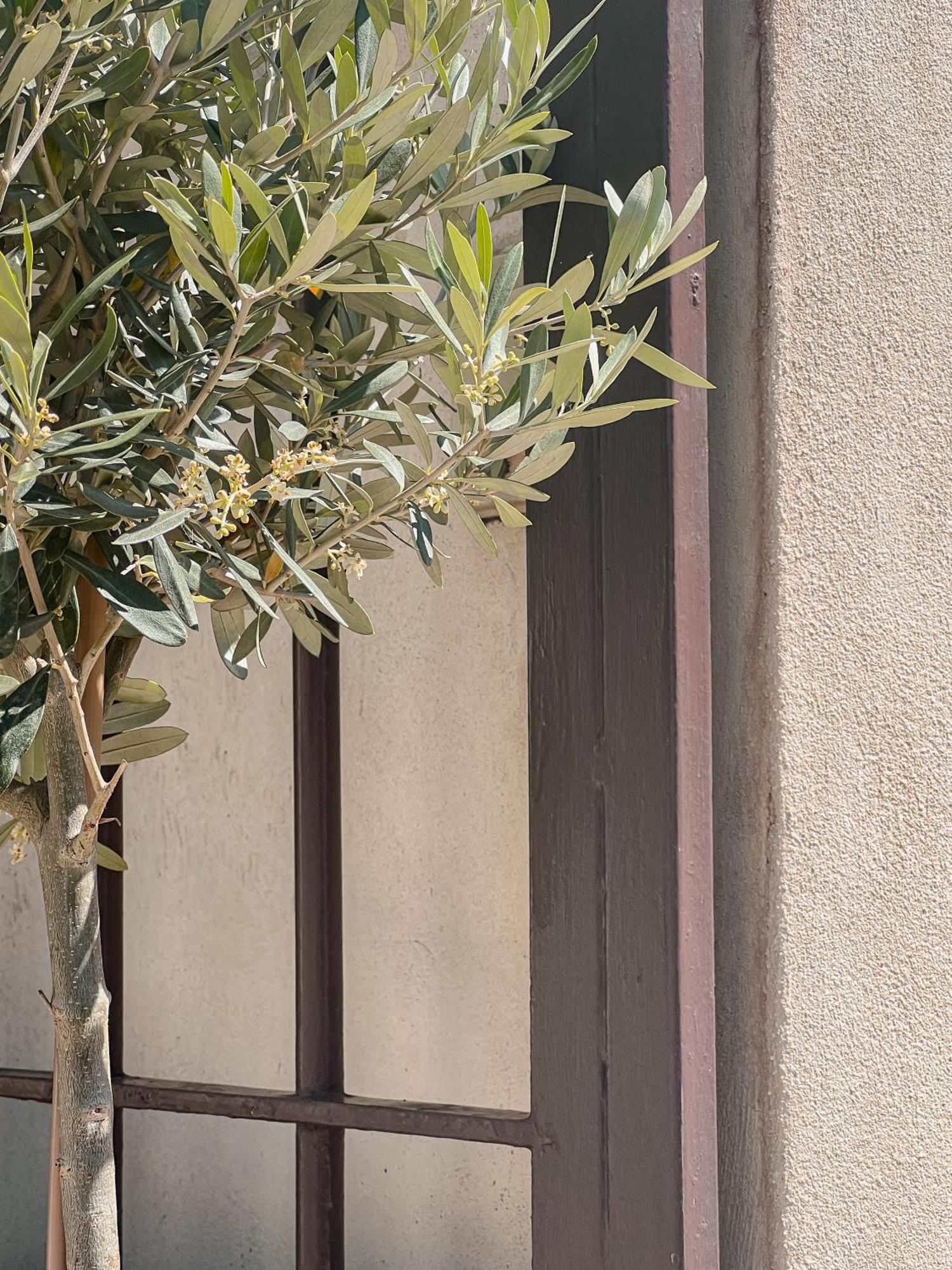 Hotel Les Magnanarelles Maussane-les-Alpilles Exterior photo